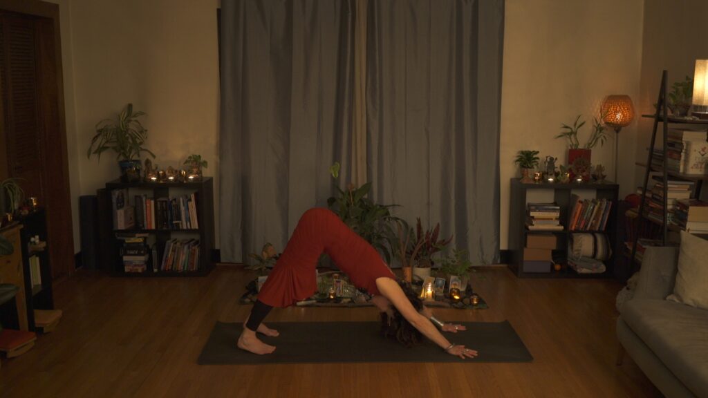 Beltane - Hagar - Downward dog