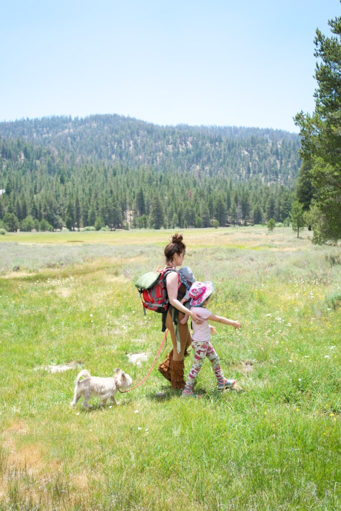 Symbolic image representing the Hero’s Journey Vs Heroine’s Journey; the mythic pathway of the Heroine journey through life and culture - a mother carrying a baby, walking with a young child and a dog in a meadow.