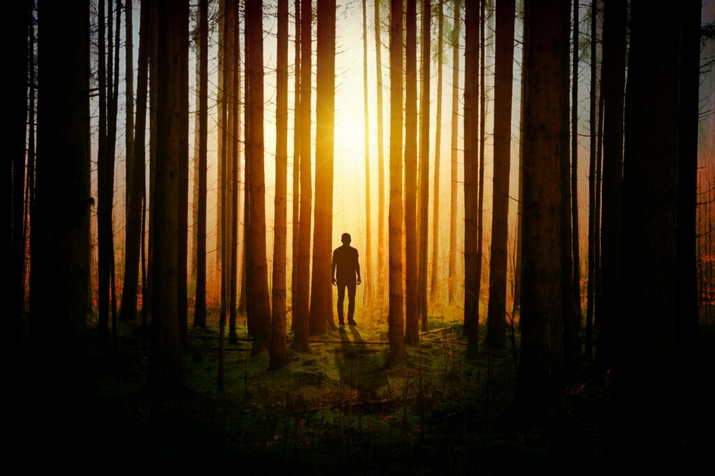Shadow archetype symbolized by a figure in the space between darkness and light, representing transformation and integration.