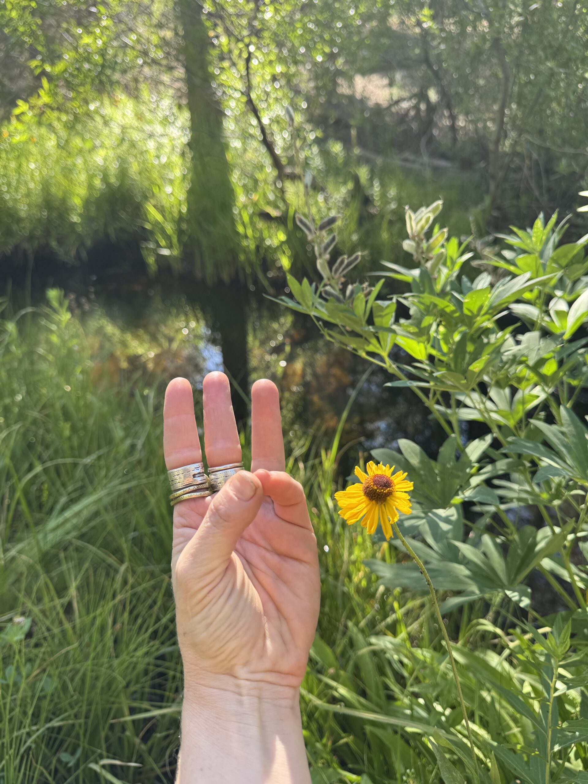You Are a Channel – Deep Inner Listening Hand held in a gesture of deep listening beside a yellow flower in a sunlit natural landscape