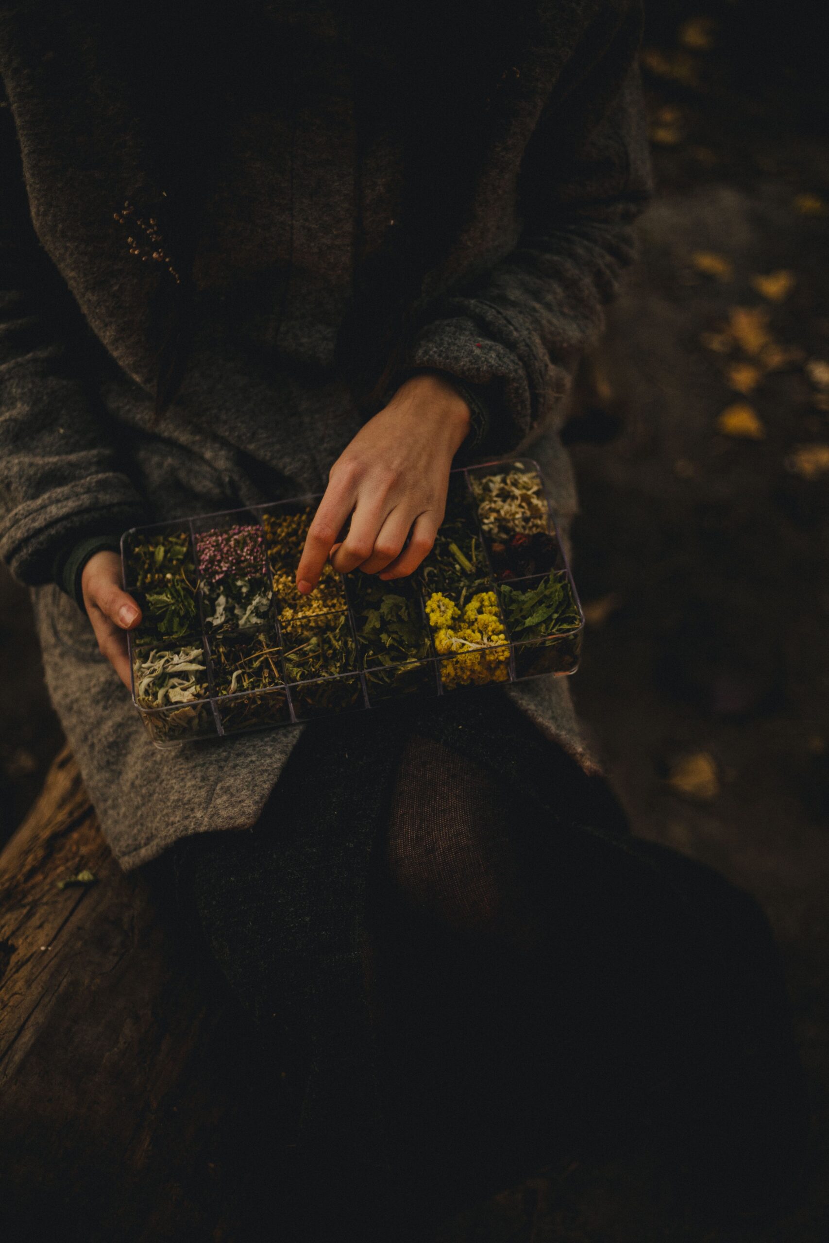 Herbal Meditation and Plant Allies: The Descent Person exploring an assortment of dried herbs in a divided tray, illustrating plant wisdom and herbal meditation.